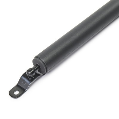 Gasfeder, Koffer-/Laderaum RIDEX 219G0951 219G0951 - foto 4