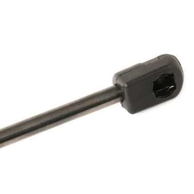 Gasfeder, Koffer-/Laderaum RIDEX 219G0778 219G0778 - foto 6