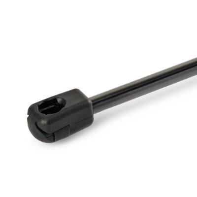 Gasfeder, Koffer-/Laderaum RIDEX 219G1024 219G1024 - foto 4