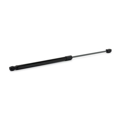 Gasfeder, Koffer-/Laderaum RIDEX 219G1290 219G1290 - foto 3
