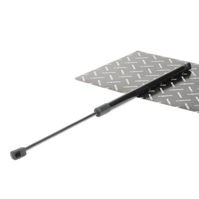 Gasfeder, Koffer-/Laderaum RIDEX 219G0536 219G0536 - foto 2