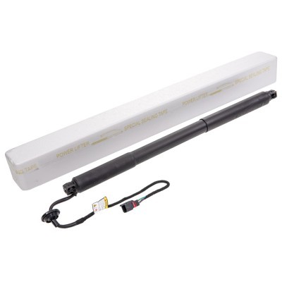 Gasfeder, Koffer-/Laderaum RIDEX 219G1035 219G1035 - foto 7