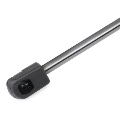 Gasfeder, Koffer-/Laderaum RIDEX 219G0844 219G0844 - foto 10