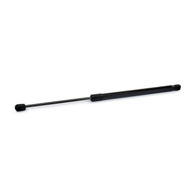 Gasfeder, Koffer-/Laderaum RIDEX 219G0202 219G0202 - foto 4