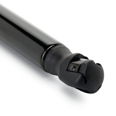 Gasfeder, Koffer-/Laderaum RIDEX 219G1409 219G1409 - foto 5