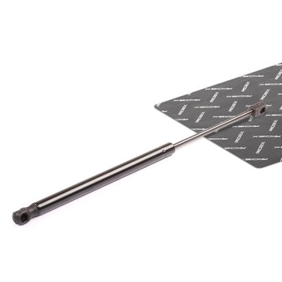 Gasfeder, Koffer-/Laderaum RIDEX 219G0023 219G0023 - foto 2