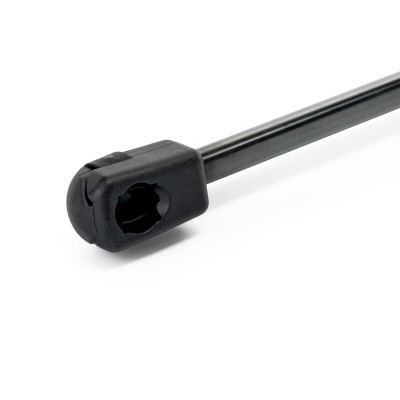 Gasfeder, Koffer-/Laderaum RIDEX 219G1207 219G1207 - foto 4