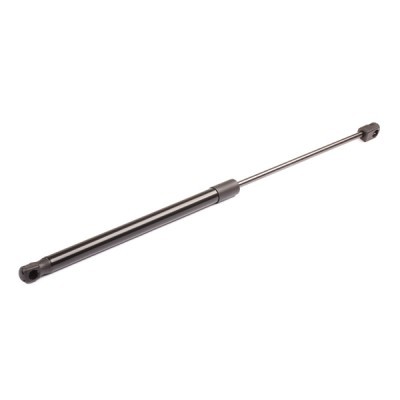 Gasfeder, Koffer-/Laderaum RIDEX 219G0351 219G0351 - foto 7