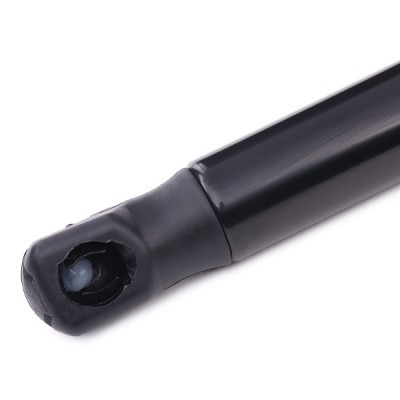 Gasfeder, Koffer-/Laderaum RIDEX 219G0182 219G0182 - foto 4