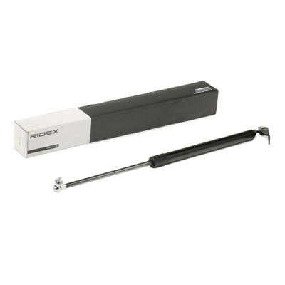 Gasfeder, Koffer-/Laderaum RIDEX 219G0534 219G0534 - foto 2