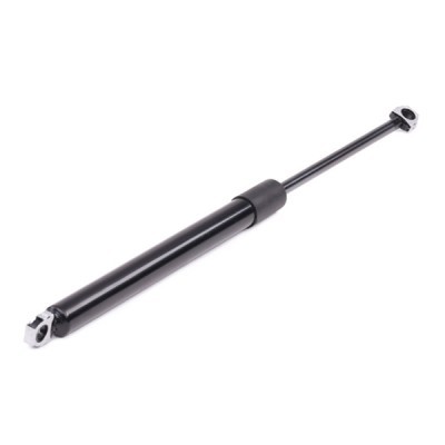 Gasfeder, Koffer-/Laderaum RIDEX 219G0295 219G0295 - foto 3
