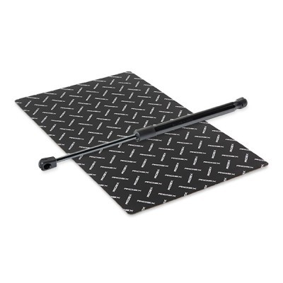 Gasfeder, Koffer-/Laderaum RIDEX 219G1004 219G1004 - foto 2