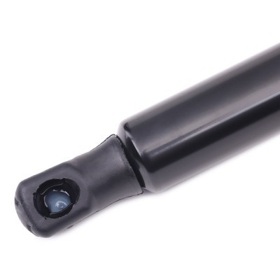 Gasfeder, Koffer-/Laderaum RIDEX 219G0422 219G0422 - foto 4