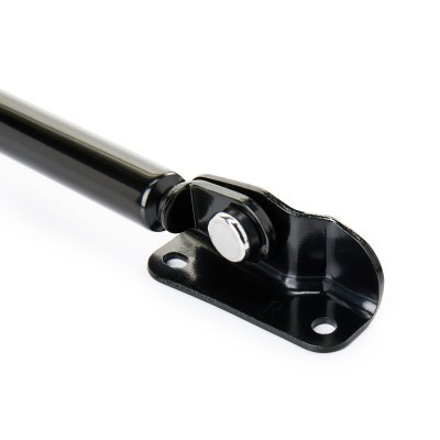 Gasfeder, Koffer-/Laderaum RIDEX 219G0992 219G0992 - foto 5