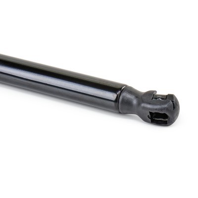 Gasfeder, Koffer-/Laderaum RIDEX 219G1363 219G1363 - foto 5