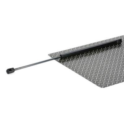Gasfeder, Koffer-/Laderaum RIDEX 219G0360 219G0360 - foto 2