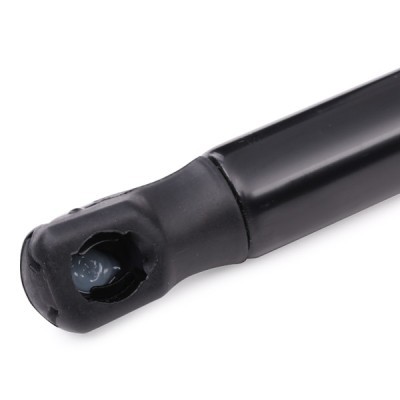 Gasfeder, Koffer-/Laderaum RIDEX 219G0383 219G0383 - foto 5
