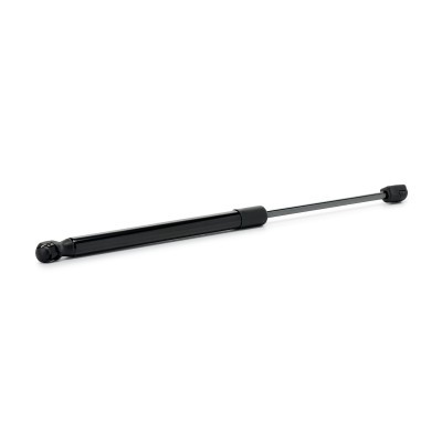 Gasfeder, Koffer-/Laderaum RIDEX 219G1473 219G1473 - foto 3