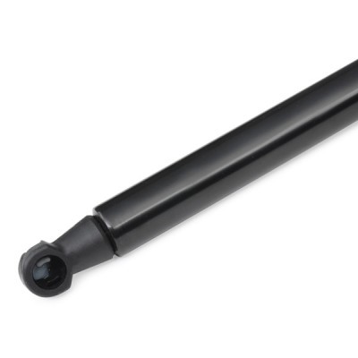 Gasfeder, Koffer-/Laderaum RIDEX 219G0009 219G0009 - foto 5