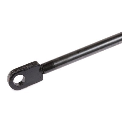 Gasfeder, Koffer-/Laderaum RIDEX 219G0385 219G0385 - foto 4