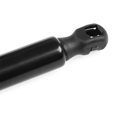 Gasfeder, Koffer-/Laderaum RIDEX 219G0860 219G0860 - foto 5