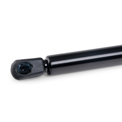 Gasfeder, Koffer-/Laderaum RIDEX 219G0503 219G0503 - foto 7