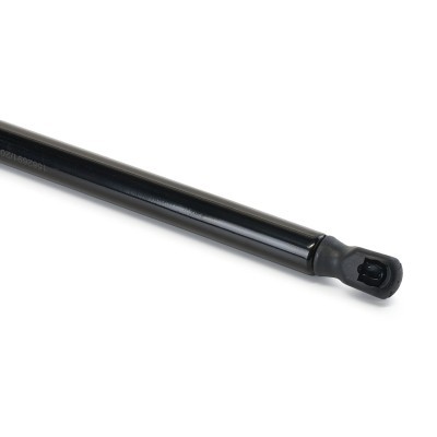 Gasfeder, Koffer-/Laderaum RIDEX 219G1291 219G1291 - foto 5