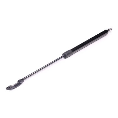 Gasfeder, Koffer-/Laderaum RIDEX 219G0305 219G0305 - foto 6