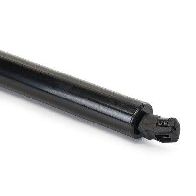 Gasfeder, Koffer-/Laderaum RIDEX 219G1185 219G1185 - foto 5