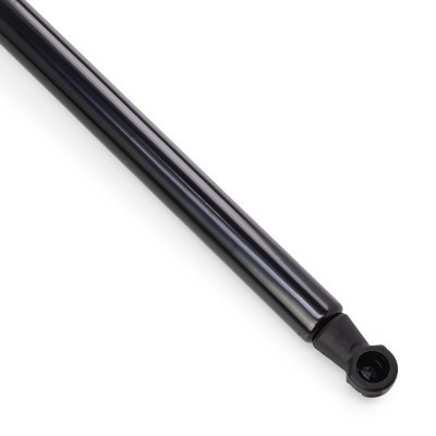 Gasfeder, Koffer-/Laderaum RIDEX 219G1205 219G1205 - foto 5
