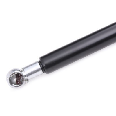 Gasfeder, Koffer-/Laderaum RIDEX 219G0312 219G0312 - foto 5