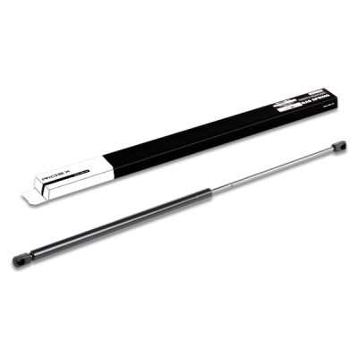 Gasfeder, Koffer-/Laderaum RIDEX 219G0137 219G0137 - foto 3