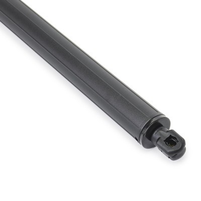 Gasfeder, Koffer-/Laderaum RIDEX 219G0951 219G0951 - foto 5