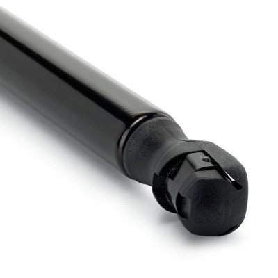 Gasfeder, Koffer-/Laderaum RIDEX 219G1566 219G1566 - foto 5