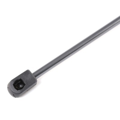 Gasfeder, Koffer-/Laderaum RIDEX 219G0137 219G0137 - foto 5