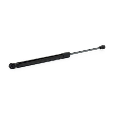 Gasfeder, Koffer-/Laderaum RIDEX 219G1314 219G1314 - foto 3