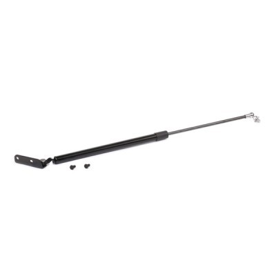 Gasfeder, Koffer-/Laderaum RIDEX 219G0513 219G0513 - foto 5