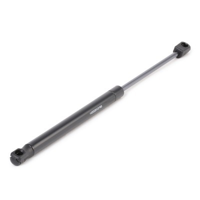 Gasfeder, Koffer-/Laderaum RIDEX 219G0887 219G0887 - foto 3