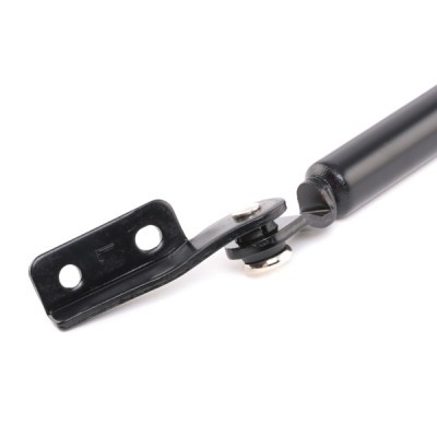 Gasfeder, Koffer-/Laderaum RIDEX 219G0602 219G0602 - foto 5