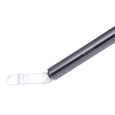 Gasfeder, Koffer-/Laderaum RIDEX 219G0332 219G0332 - foto 4