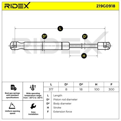 Gasfeder, Koffer-/Laderaum RIDEX 219G0918 219G0918 - foto 6