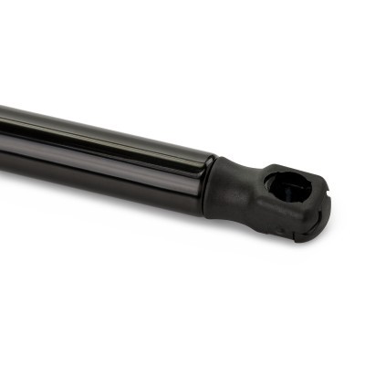 Gasfeder, Koffer-/Laderaum RIDEX 219G0551 219G0551 - foto 7