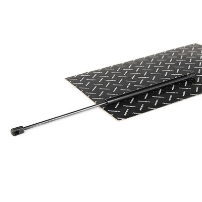 Gasfeder, Koffer-/Laderaum RIDEX 219G0996 219G0996 - foto 2