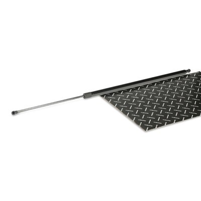 Gasfeder, Koffer-/Laderaum RIDEX 219G0974 219G0974 - foto 2