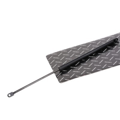 Gasfeder, Koffer-/Laderaum RIDEX 219G0884 219G0884 - foto 2