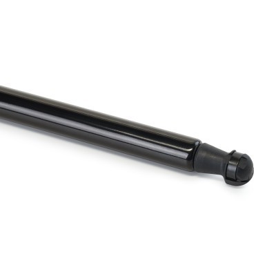 Gasfeder, Koffer-/Laderaum RIDEX 219G1203 219G1203 - foto 5