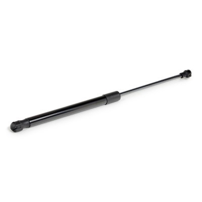 Gasfeder, Koffer-/Laderaum RIDEX 219G1008 219G1008 - foto 4