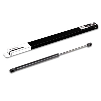 Gasfeder, Koffer-/Laderaum RIDEX 219G0208 219G0208 - foto 3