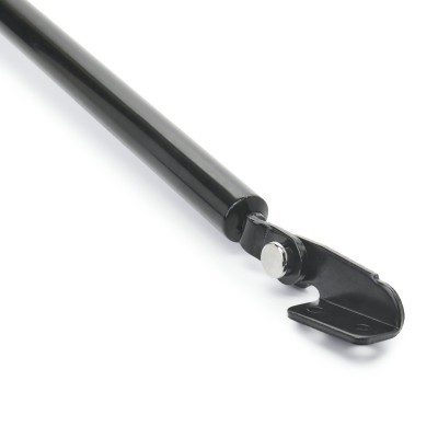 Gasfeder, Koffer-/Laderaum RIDEX 219G0780 219G0780 - foto 5
