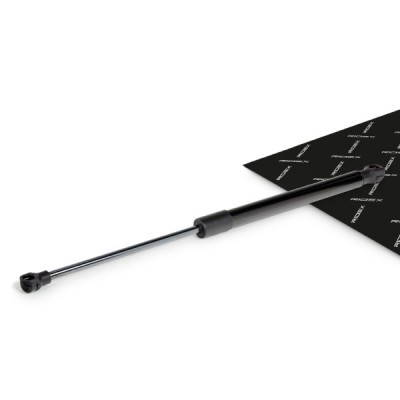 Gasfeder, Koffer-/Laderaum RIDEX 219G1008 219G1008 - foto 2